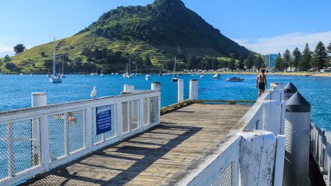 ESL Mount Maunganui Language stay 3 column 2