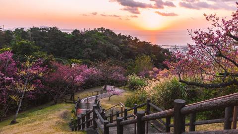 ESL Okinawa language stay 3 column 2